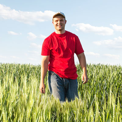 Barenbrug_Agriculture.jpg