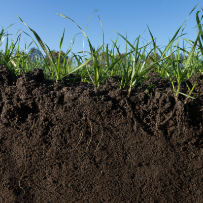 Soilcover_007_square.jpg
