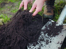 Highest organic matter production with Proterra Maize