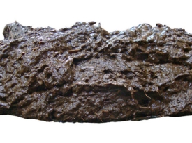 Header_NutriFibre_1900x500.jpg