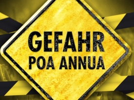 HEADER_DE_Danger-Poa-Annua.jpg