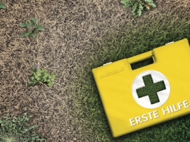 Visual_link_Erste-Hilfe-Weeds-DE-900.jpg
