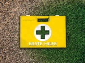 Visual_link_Erste-Hilfe-rasen_900.jpg