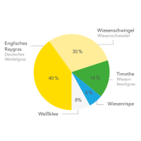 Supermischung für Mähweide1