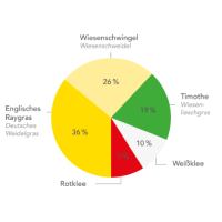 Supermischung für Wechselgrünland III