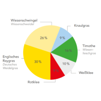 Supermischung für Wechselgrünland IIIA