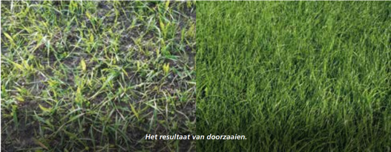 het_resultaat_doorzaaien