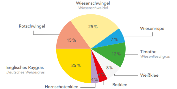 Extensive Grünlandmischung
