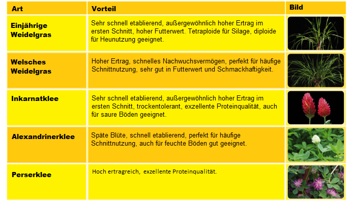 Table_ProtaPlus_DE.png