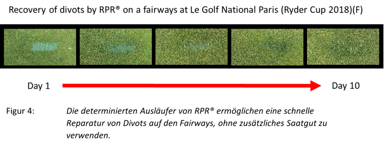 DE_RPR_2024_04.png