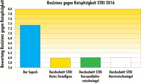 STRI2016_BarSuperb_RedThread_DE.jpg