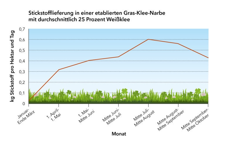 Stickstofflieferung in einer etablierten Gras-Klee-Narbe