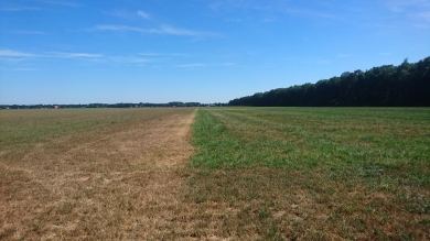 verschil engels raaigras en nutrifibre