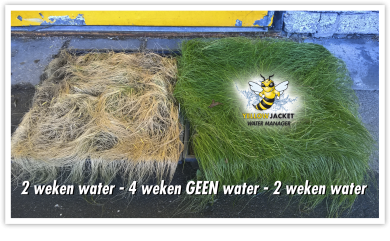 Water Manager droogte