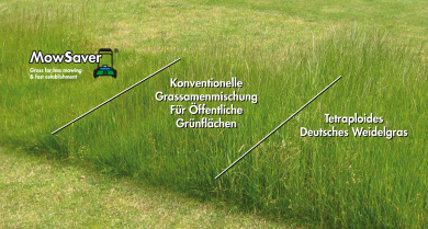 Image-MowSaver-comparisons-DE