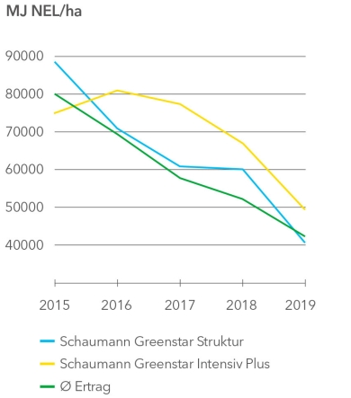 MJ-NEL-ha_lijngrafiek_2015-2019.jpg