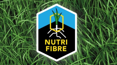 NF_logo_optional_link-edit_02.jpg