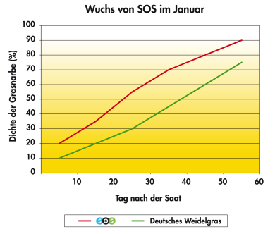 SOS_Graph_wuchs_von_SOS_Januar-24.png