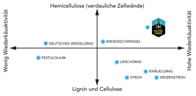 graph_struktur_de-edit.jpg