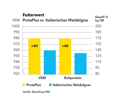 Futterwert ProtaPlus