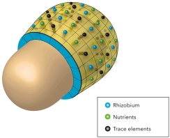 Barenbrug_nitrogenerator_seed_EN.jpg