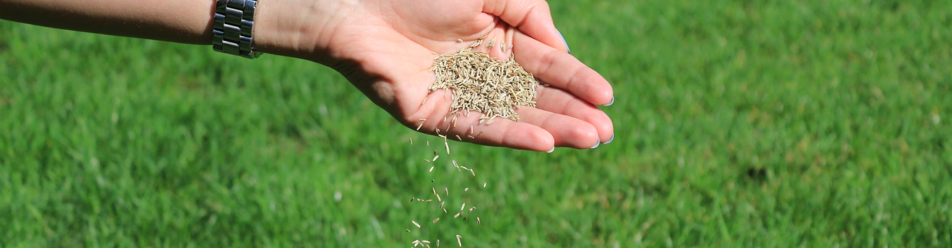 Sowing hand