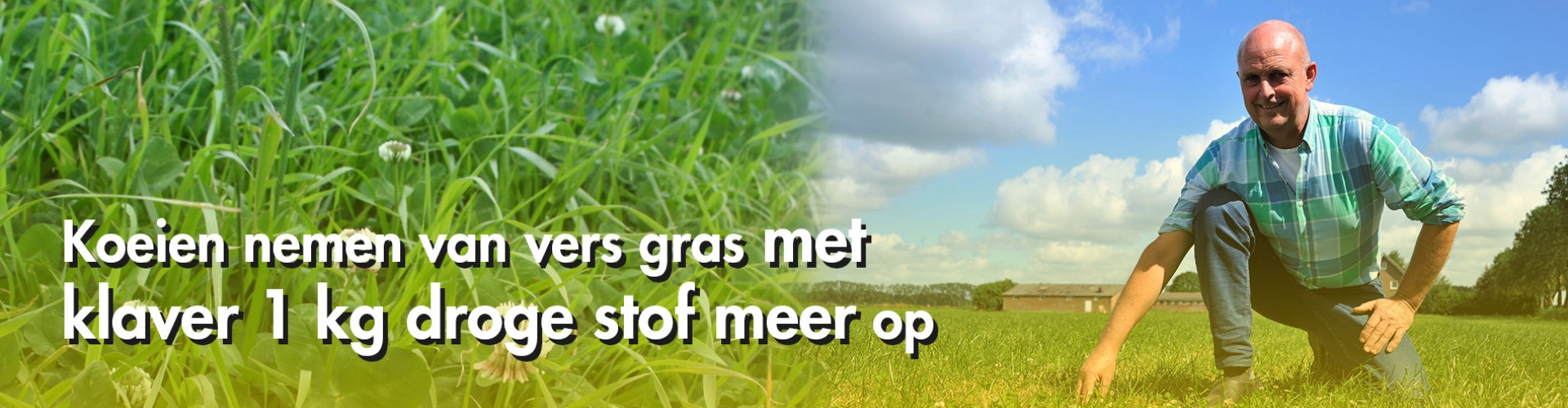 header anton van der hoog