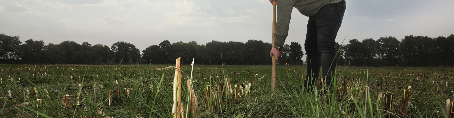 proterra 7 okt 2019