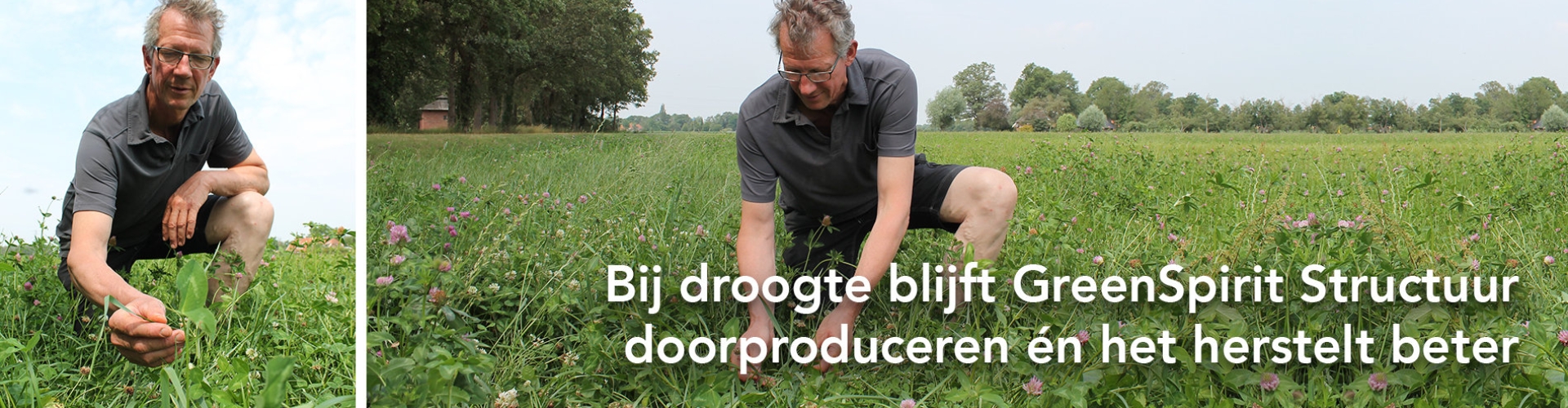 header grasproductie snel op peil na droge periode