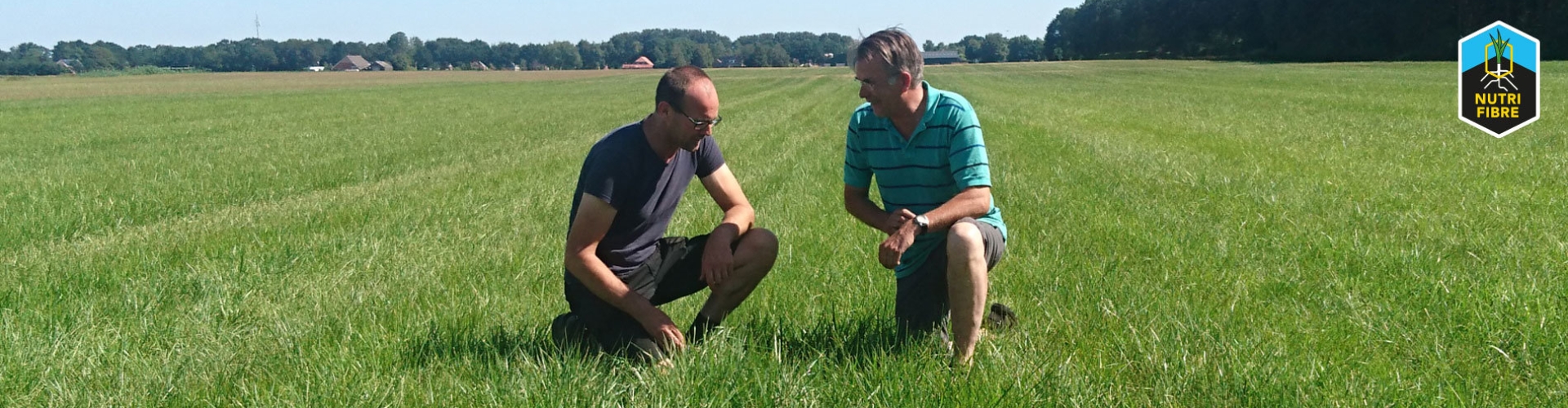 NutriFibre Voedergras bestand tegen droogte