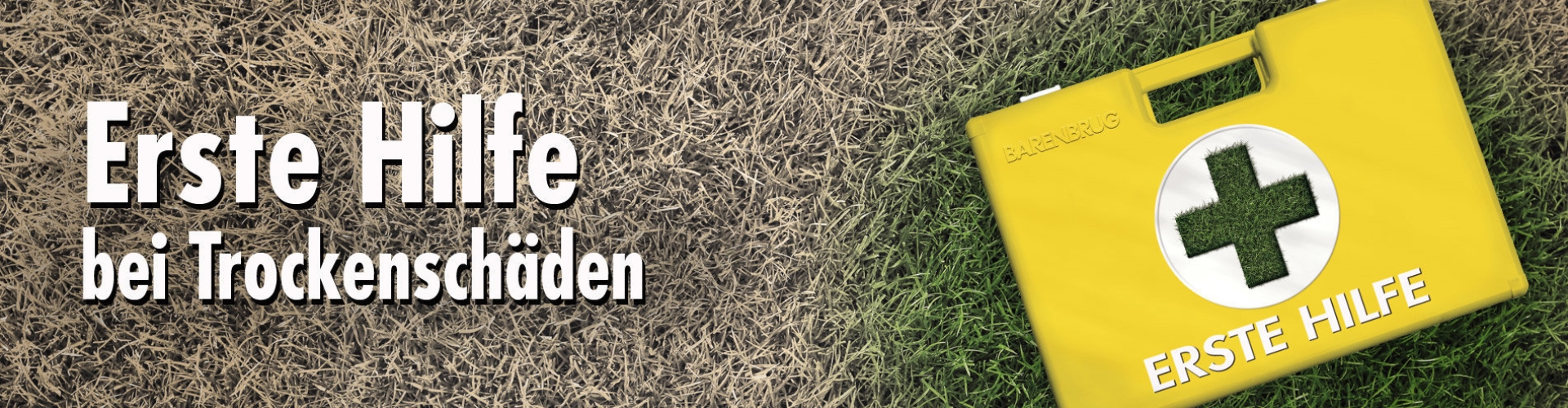 HEADER_Erste-Hilfe_DE-500.jpg