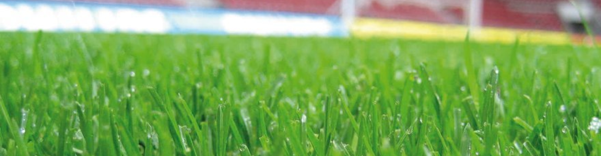 Large_SportGazon