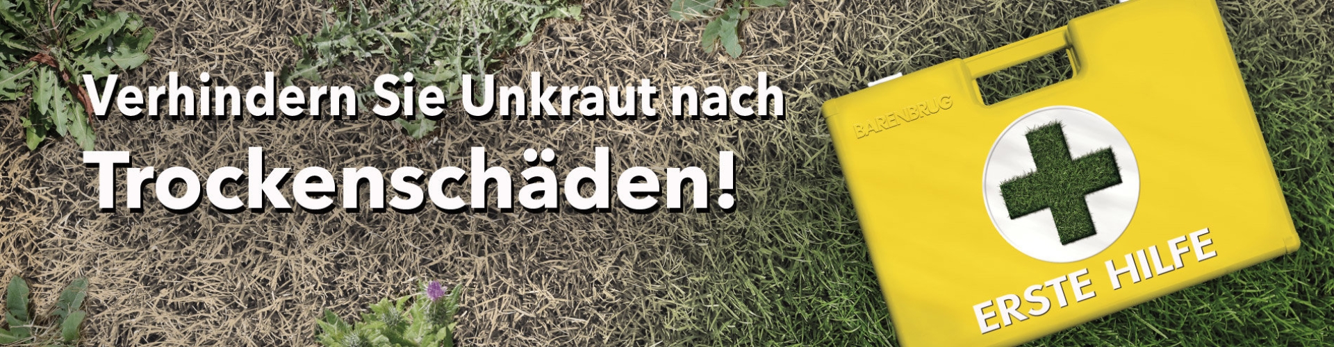 HEADER_DE-First-Aid_Weeds-500.jpg
