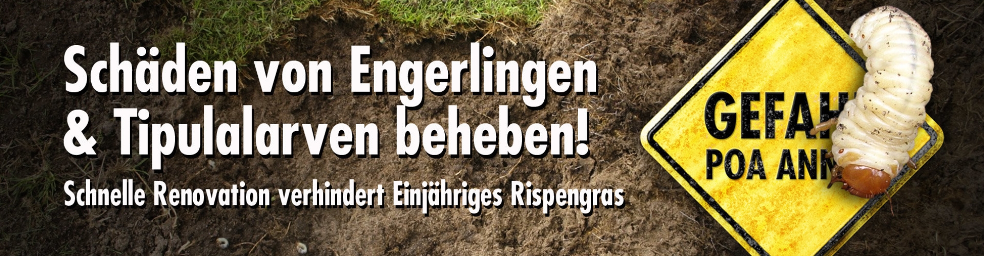 HEADER_Engerlingen_500.jpg