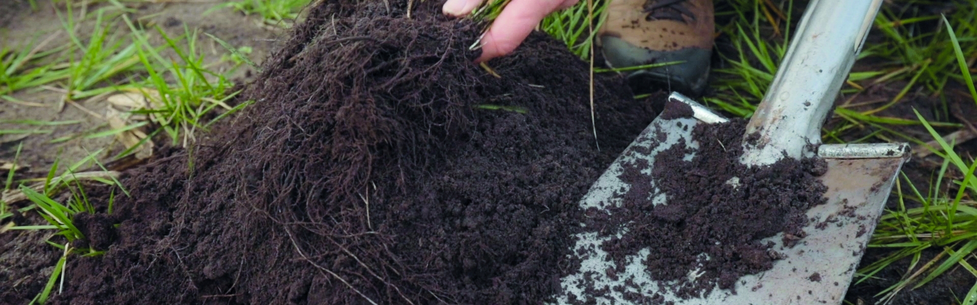 Highest organic matter production with Proterra Maize