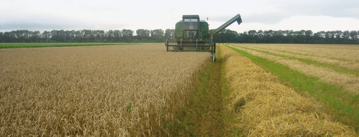 Large_Proterra_Cereals_HR