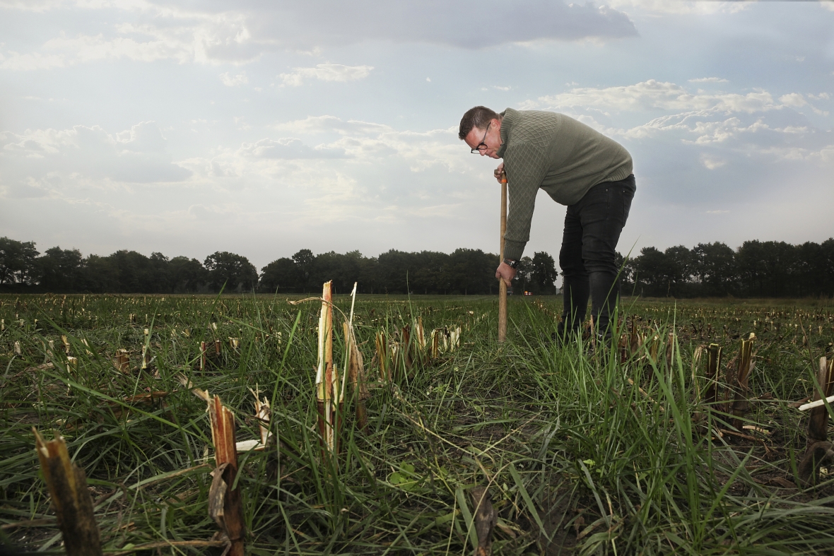 proterra 7 okt 2019