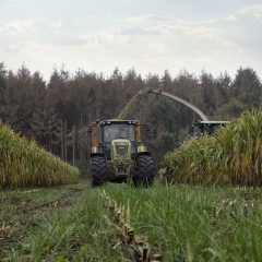 Proterra Maize