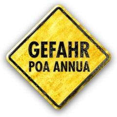 Visual_link_DE_Poa-Annua-900.jpg